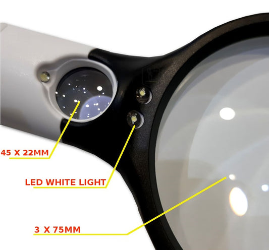 Lighted Magnifying Glass-10X - (AD63487)