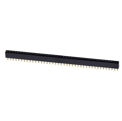 40 Pin Female Single Row 2.54mm Header - (AD1619)