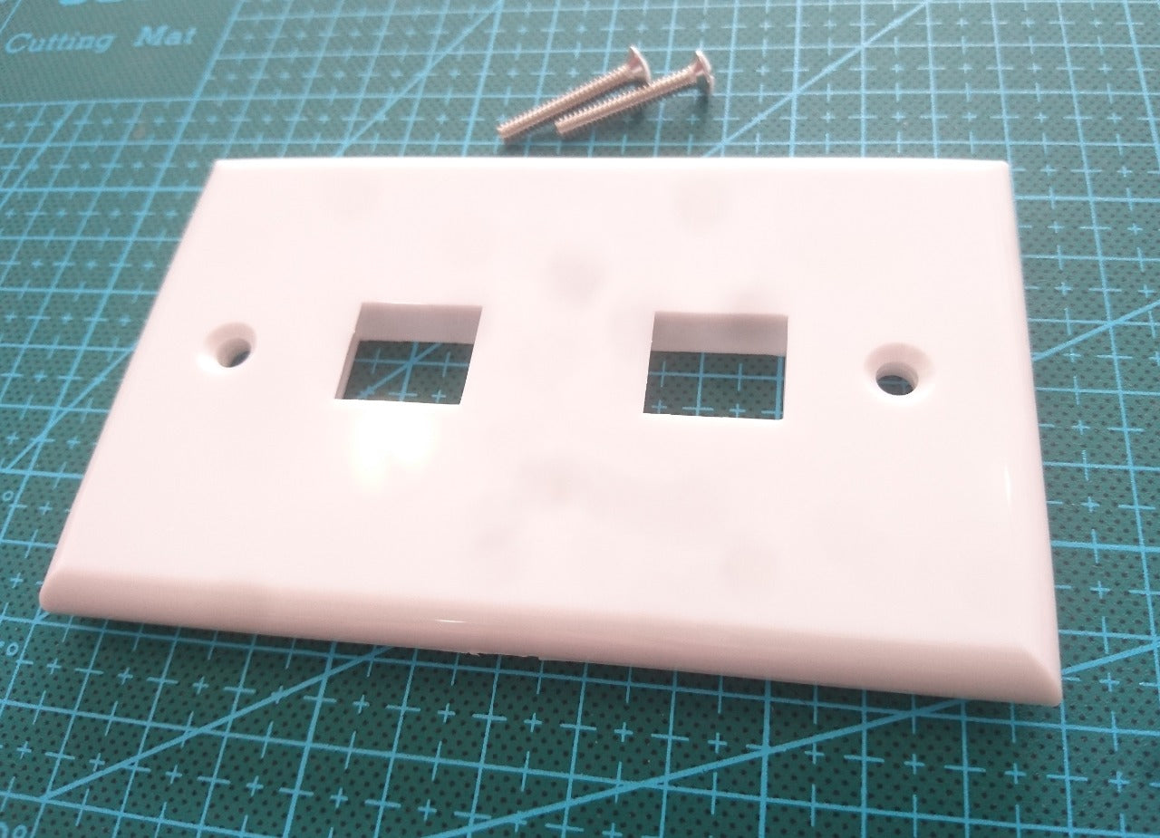 23-N016 Double RJ-45 Modular Plate - (AD31655)