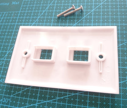 23-N016 Double RJ-45 Modular Plate - (AD31655)