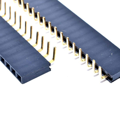 40 Pin 2.54mm Single Row Right Angle Female Header - (AD52093)